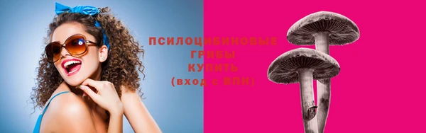 дурь Михайлов