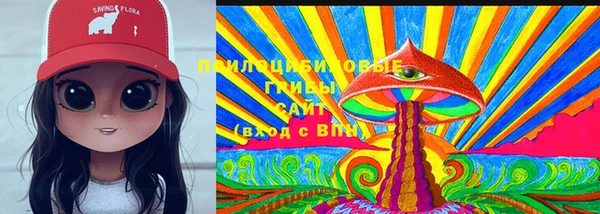 стафф Медвежьегорск