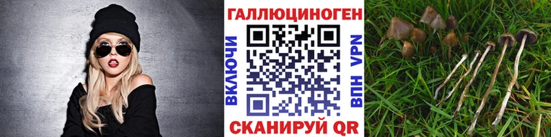 Галлюциногенные грибы ЛСД  Купить  Мыски 